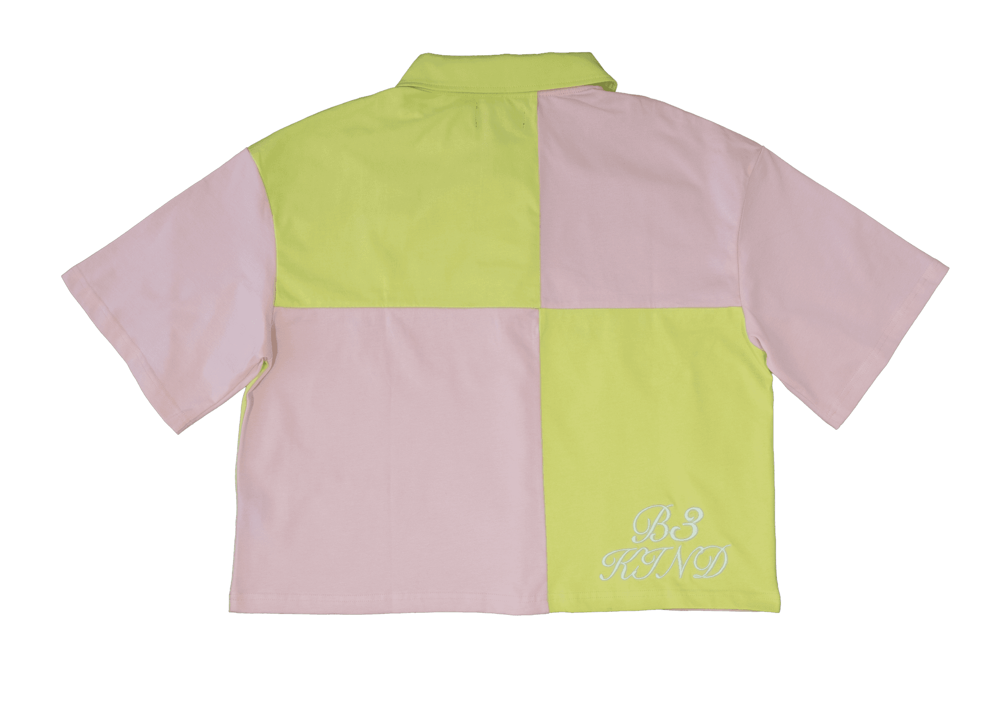 ASCENSION Polo 2