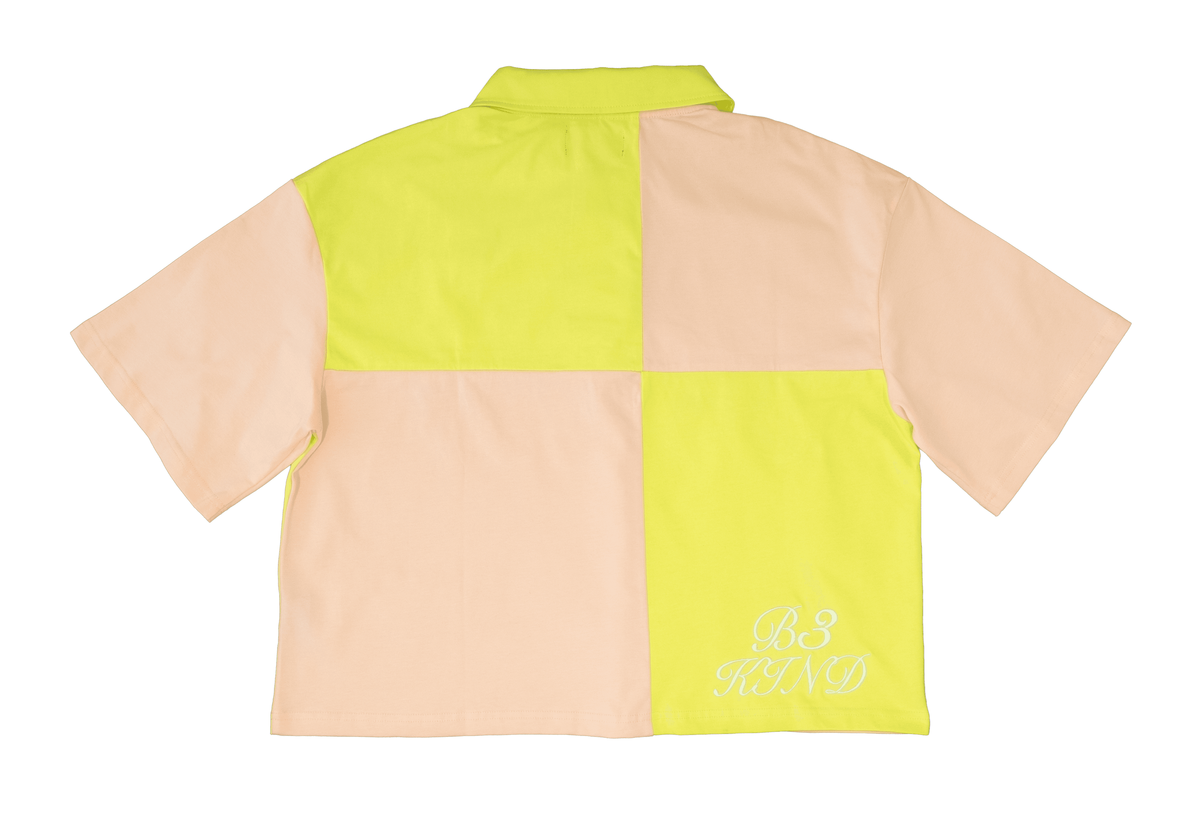 ASCENSION Polo 2